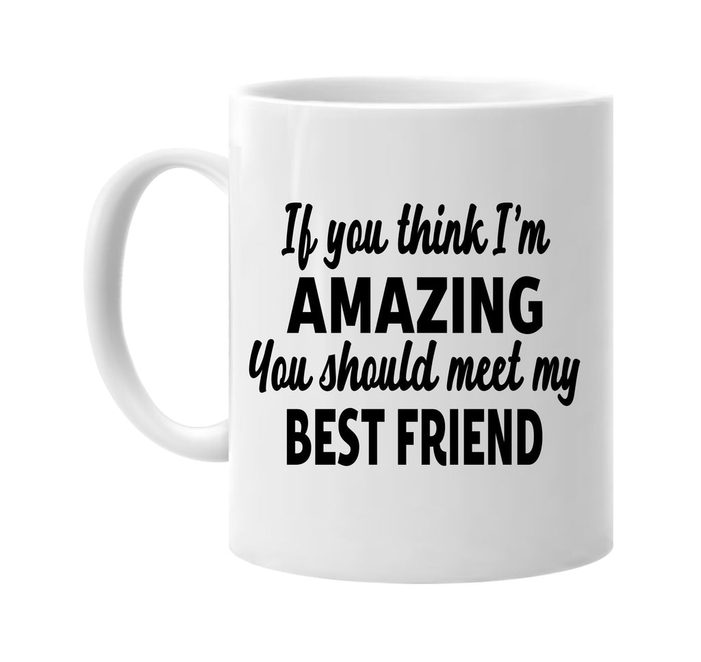 you think im amazing meet my best friend signature outlet novelty coffee cup mug graphic gift ideas gifts for the family mom dad