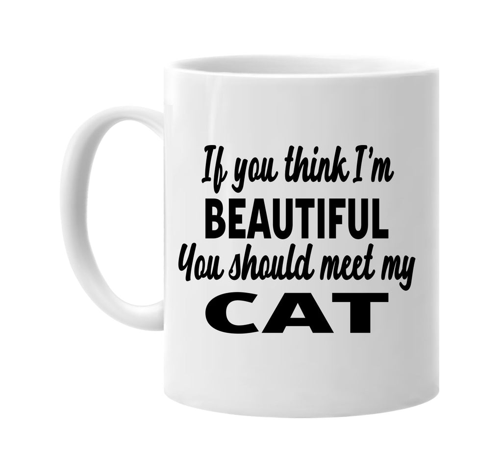 you think im beautiful you should meet my cat signature outlet novelty coffee cup mug graphic gift ideas gifts for the family mom dad