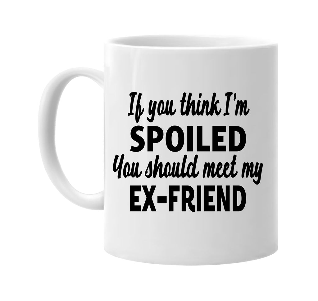 you think im spoiled meet my ex-friend signature outlet novelty coffee cup mug graphic gift ideas gifts for the family mom dad