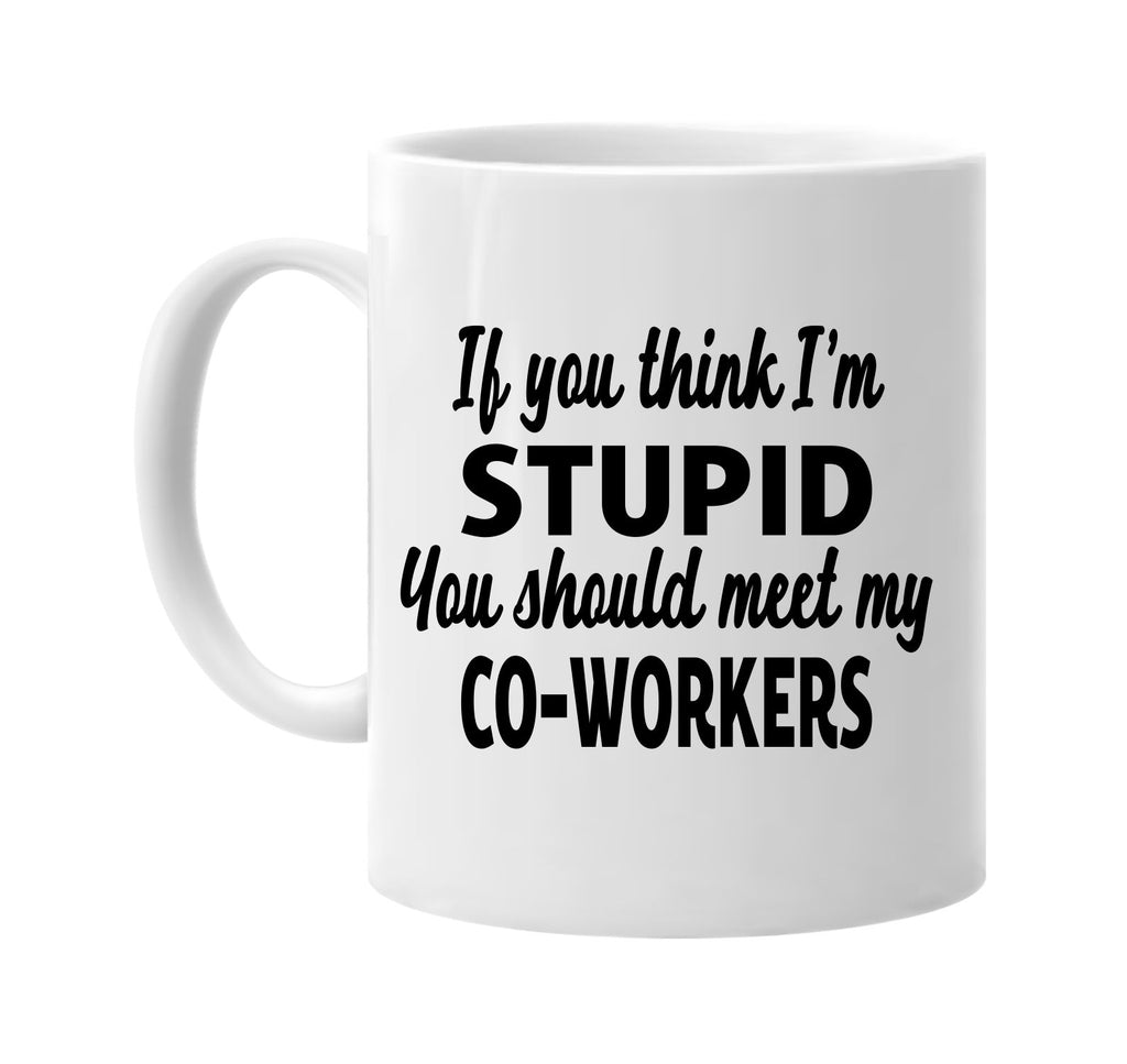 you think im stupid meet my co-workers signature outlet novelty coffee cup mug graphic gift ideas gifts for the family mom dad