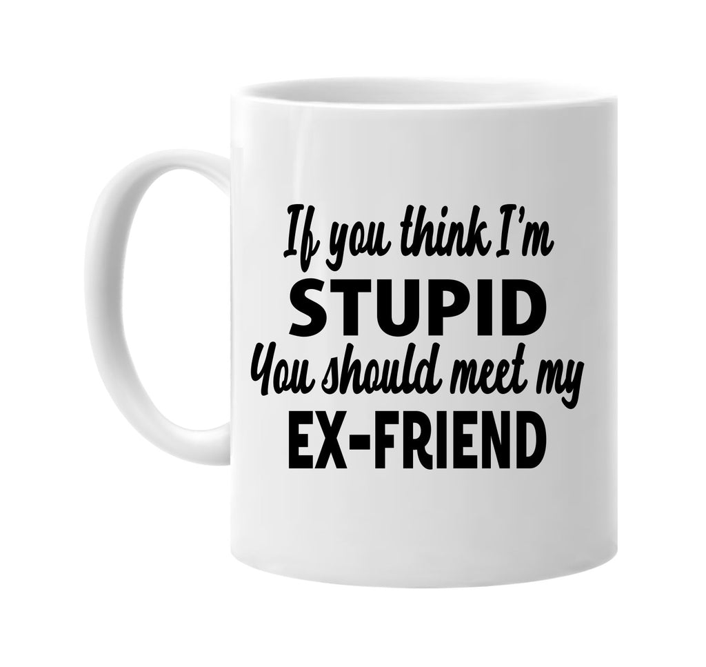 you think im stupid meet my ex-friend signature outlet novelty coffee cup mug graphic gift ideas gifts for the family mom dad