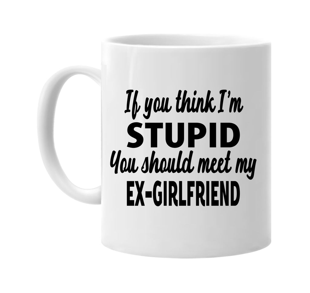 you think im stupid meet my ex-girlfriend signature outlet novelty coffee cup mug graphic gift ideas gifts for the family mom dad