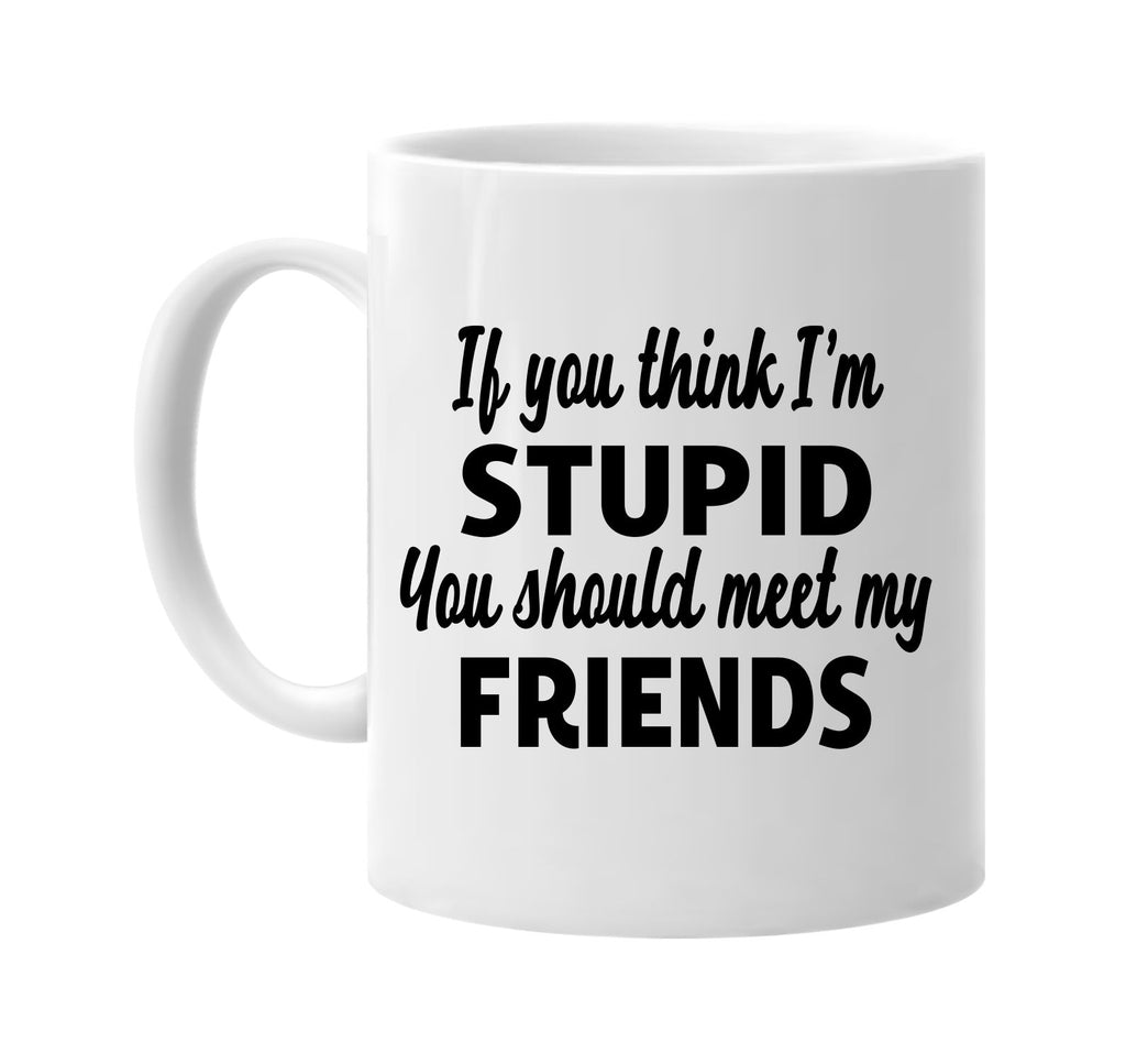 you think im stupid meet my friends signature outlet novelty coffee cup mug graphic gift ideas gifts for the family mom dad