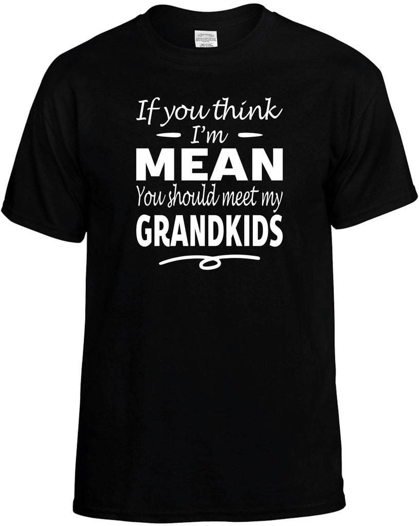 If You Think I'm Mean, Meet My Grandkids Men's T-Shirt Funny Novelty Graphic Unisex Tee