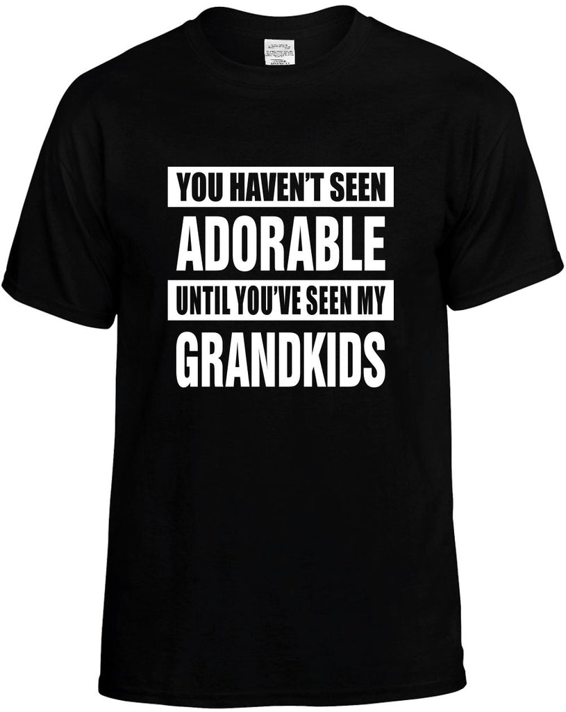 havent seen adorable my grandkids mens funny t-shirt black