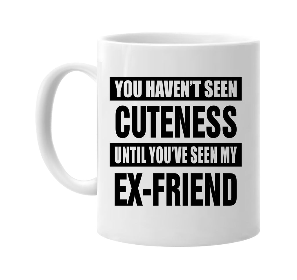 havent seen cuteness my ex-friend signature outlet novelty coffee cup mug graphic gift ideas gifts for the family mom dad