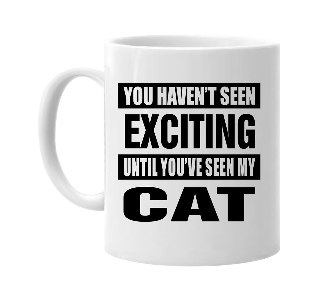 havent seen exciting seen my cat signature outlet novelty coffee cup mug graphic gift ideas gifts for the family mom dad