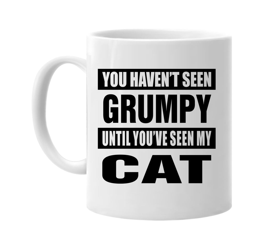 you havent seen grumpy seen my cat signature outlet novelty coffee cup mug graphic gift ideas gifts for the family mom dad