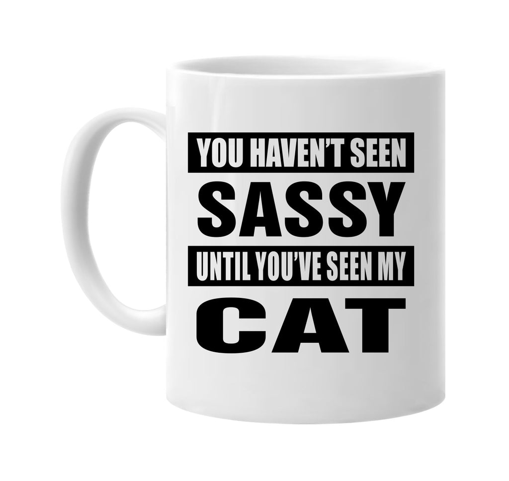 you havent seen sassy seen my cat signature outlet novelty coffee cup mug graphic gift ideas gifts for the family mom dad