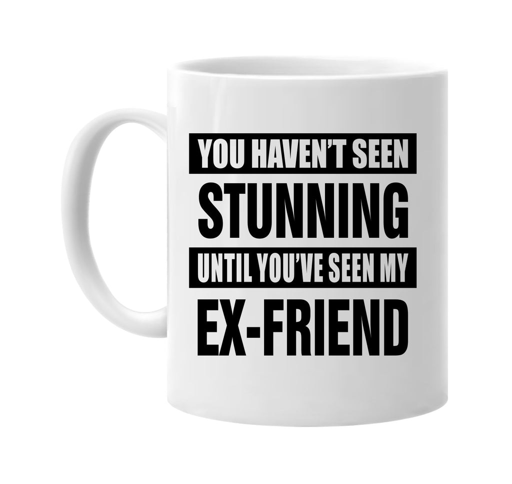 havent seen stunning my ex-friend signature outlet novelty coffee cup mug graphic gift ideas gifts for the family mom dad