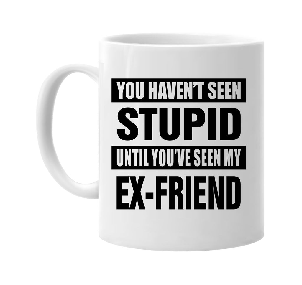 havent seen stupid my ex-friend signature outlet novelty coffee cup mug graphic gift ideas gifts for the family mom dad