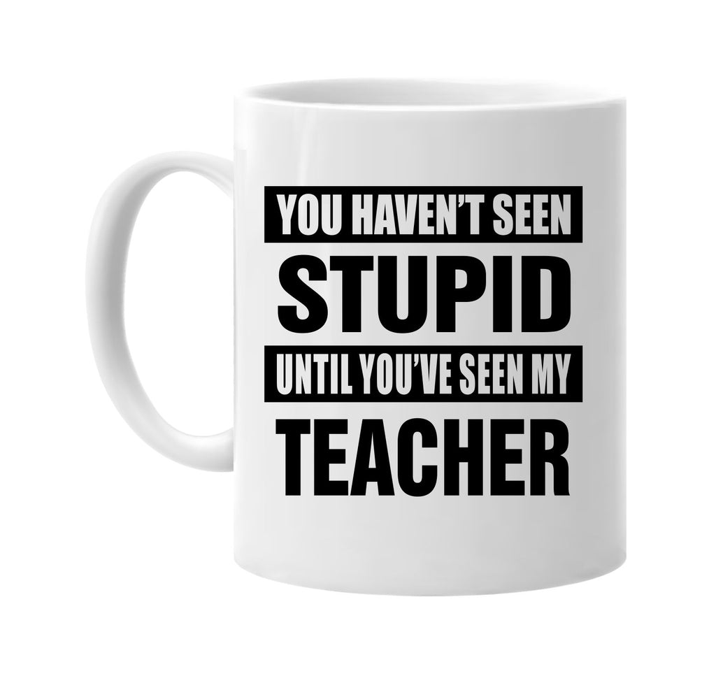 havent seen stupid seen my teacher signature outlet novelty coffee cup mug graphic gift ideas gifts for the family mom dad