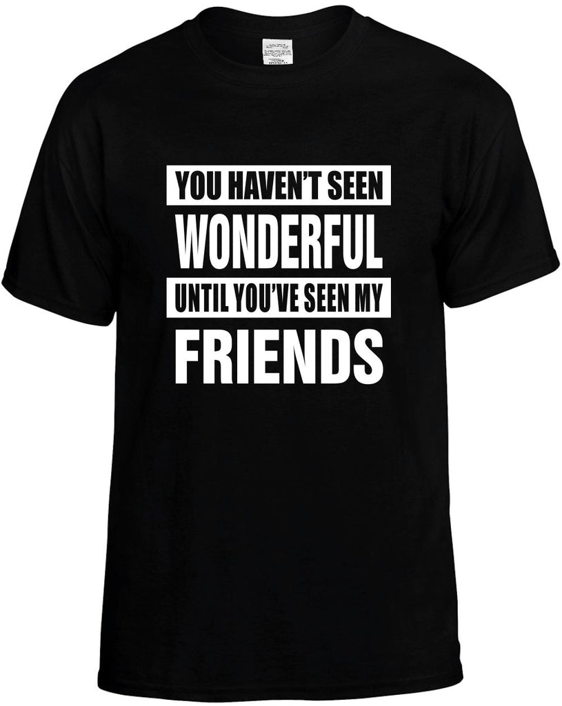 havent seen wonderful my friends mens funny t-shirt black