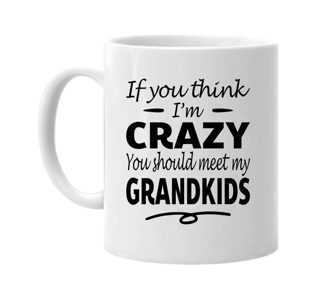 If You Think I'm Crazy, Meet My Grandkids mug