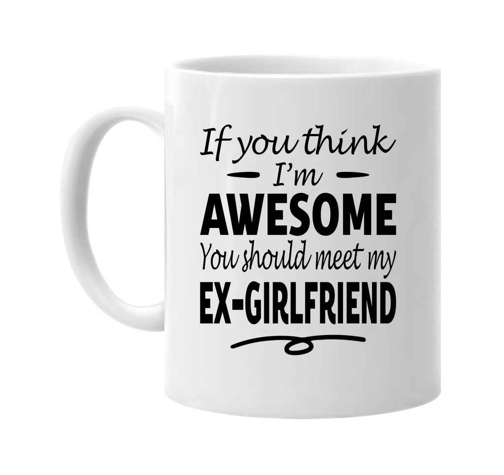 Think I'm Awesome, Meet My Ex-Girlfriend mug