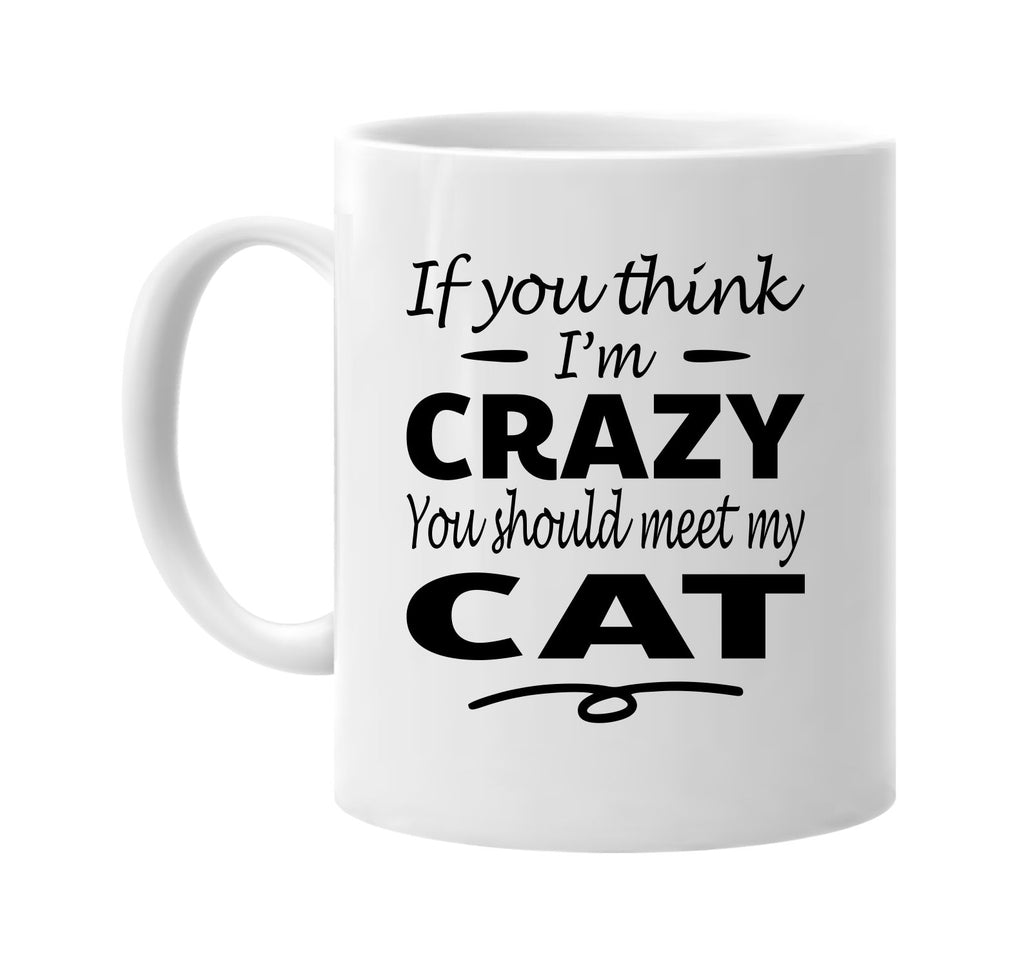 Think I'm Crazy, You Should Meet My Cat mug