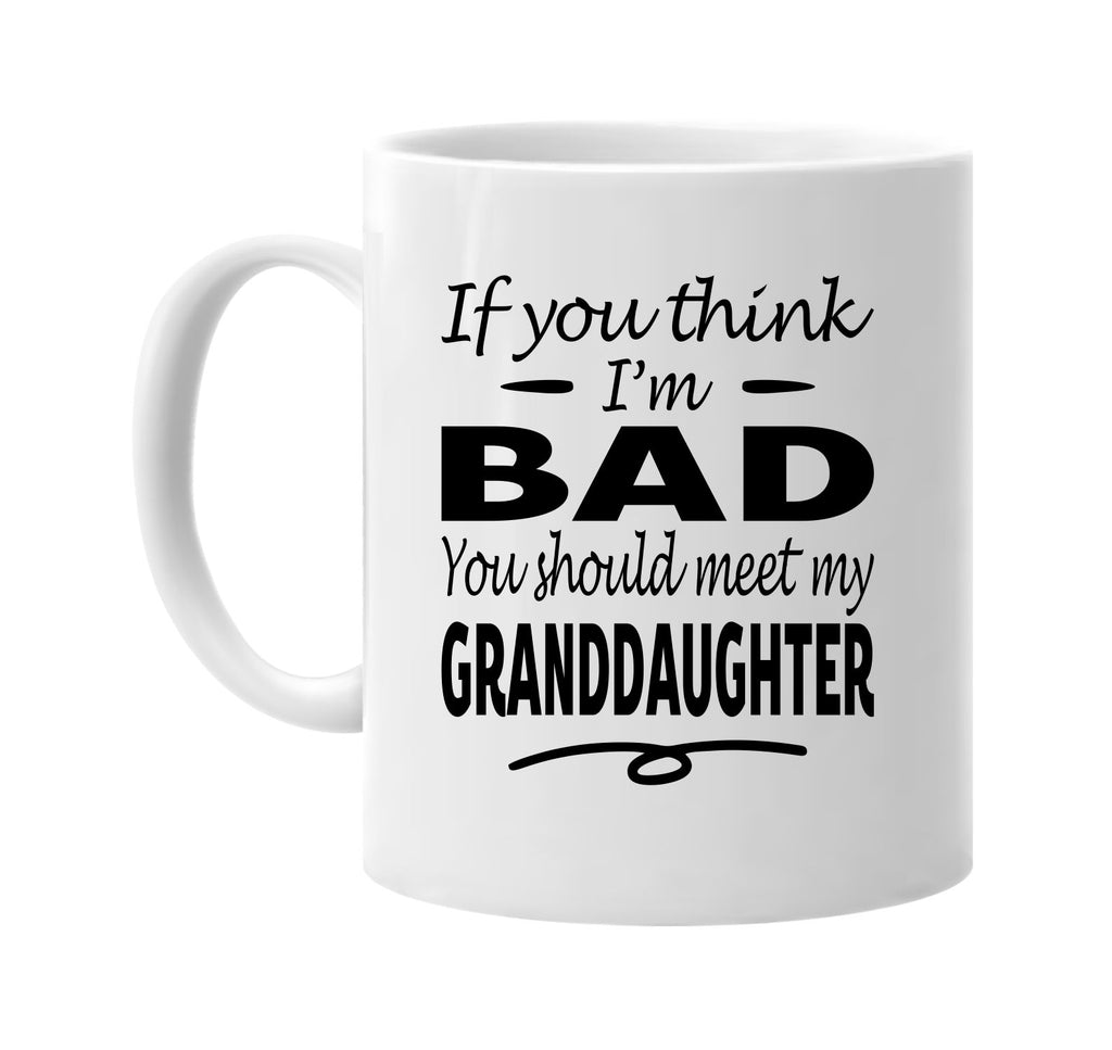 You Think I'm Bad, Meet My Granddaughter mug