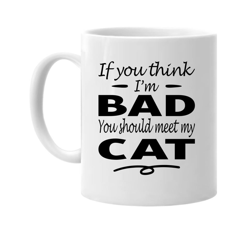 You Think I'm Bad, You Should Meet My Cat mug